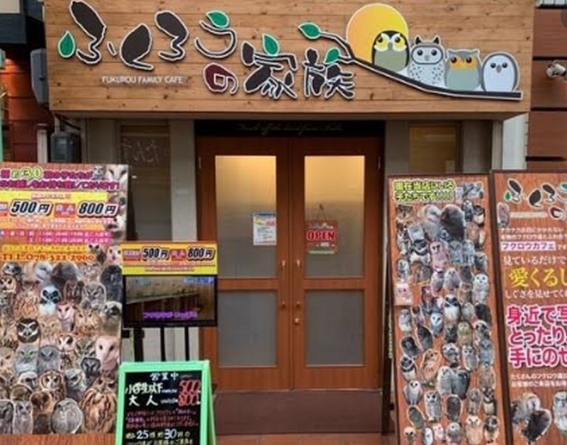神戸　動物カフェ　ふくろうカフェ